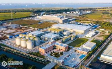 綠色引擎轟鳴 勝牌潤滑油與開米科思制冷材料項目引領保稅區(qū)環(huán)保產(chǎn)業(yè)新浪潮