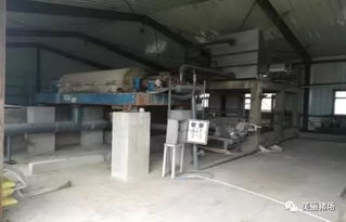 環保督察下的警示 龍頭企業污染、示范項目失靈與新型技術的破局之路